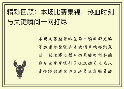 精彩回顾：本场比赛集锦，热血时刻与关键瞬间一网打尽